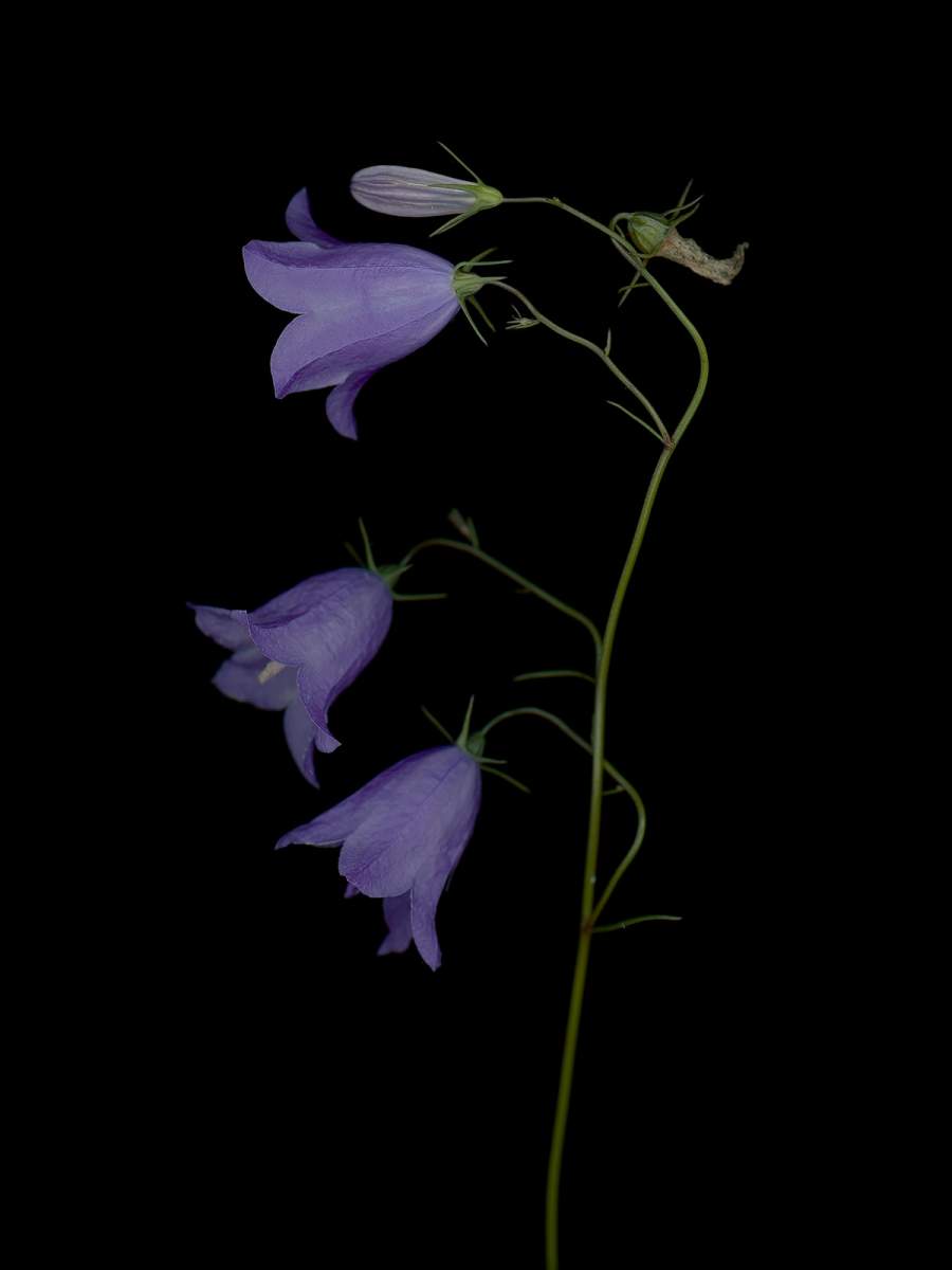 Detail, Munich, Germany, 09/2025