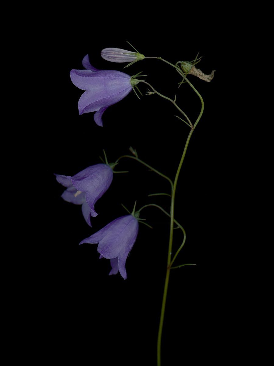 Detail, Munich, Germany, 09/2025