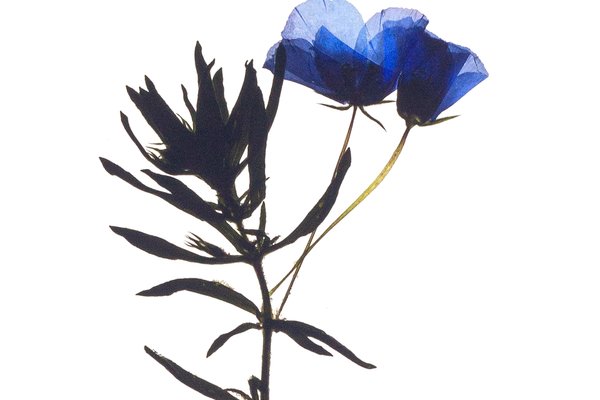 Stuttgart, Germany, 03/2022