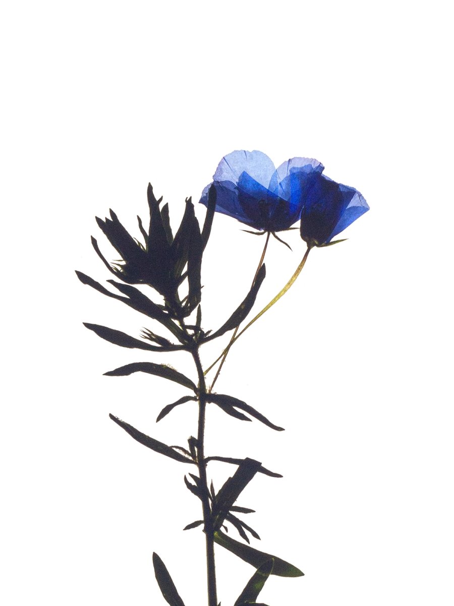 Stuttgart, Germany, 03/2022