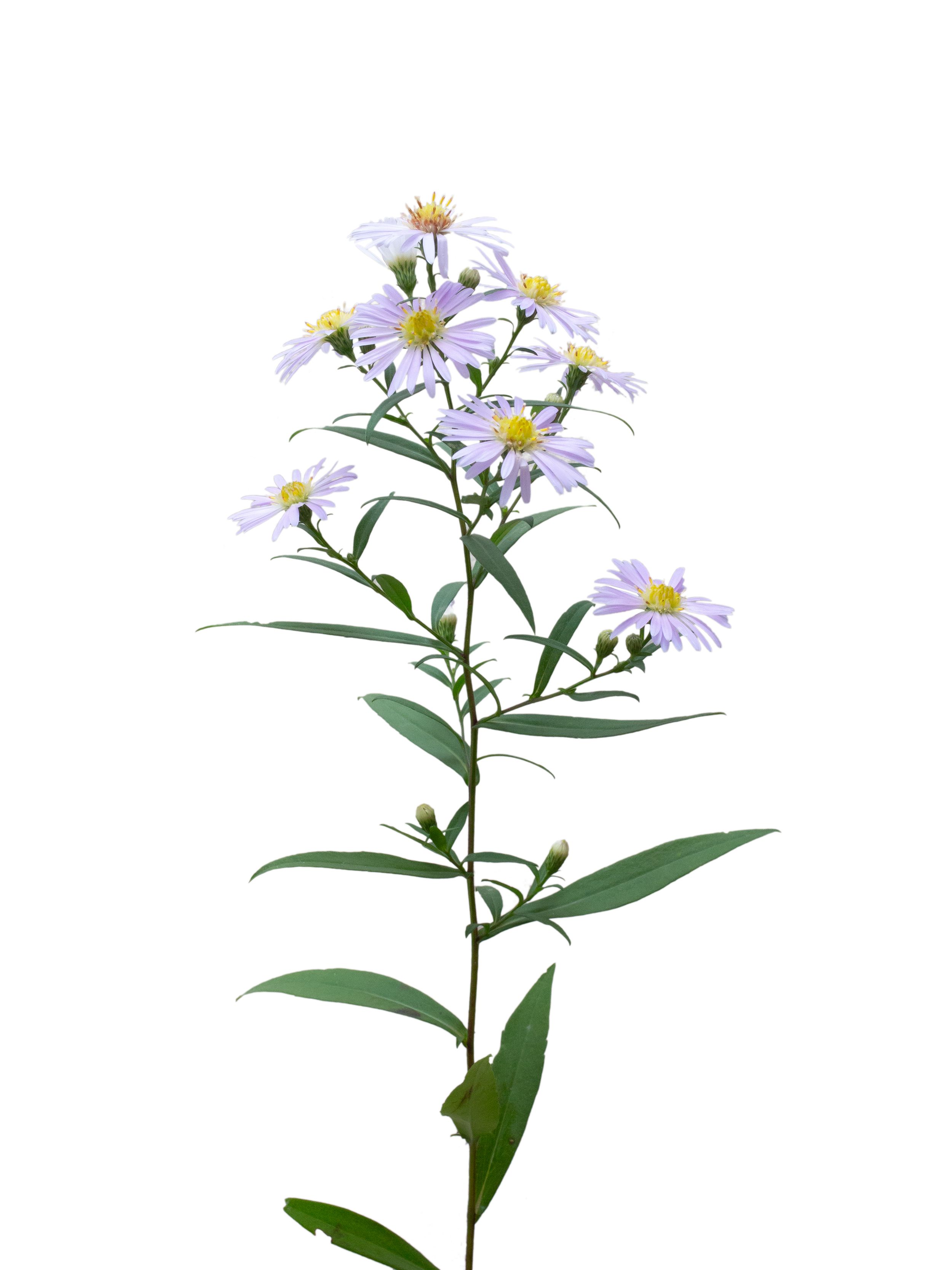 Thalkirchen, Germany, 09/2025