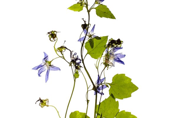 Stuttgart, Germany, 07/2022