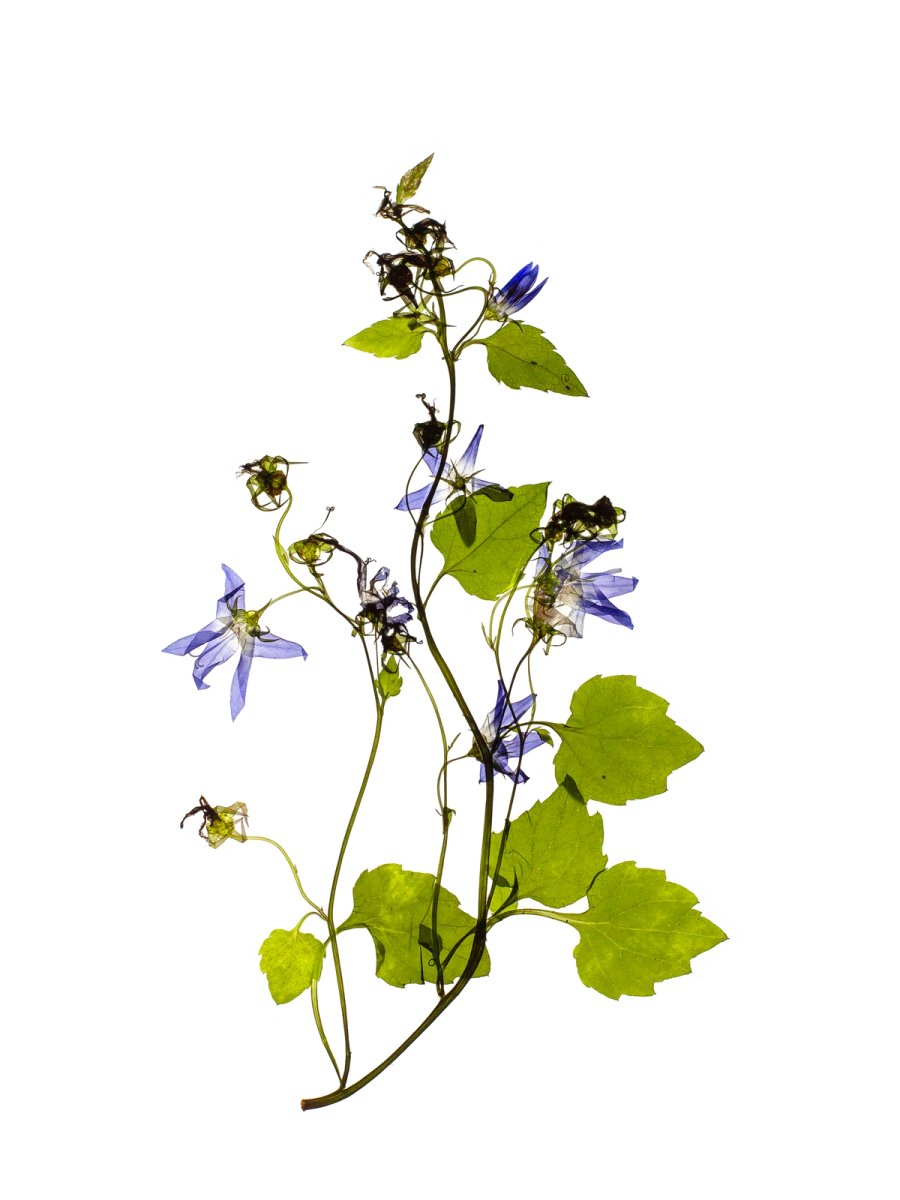 Stuttgart, Germany, 07/2022