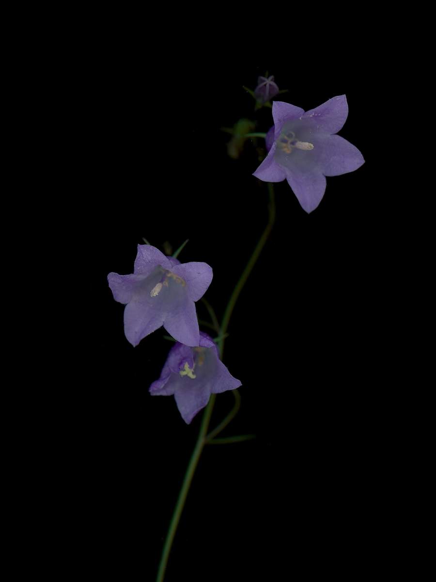 Detail, Munich, Germany, 09/2025