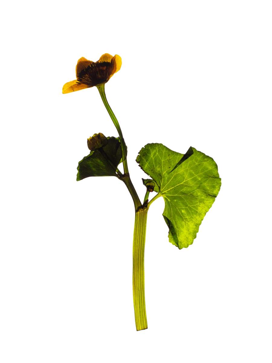 Grünwald, Germany, 02/2024