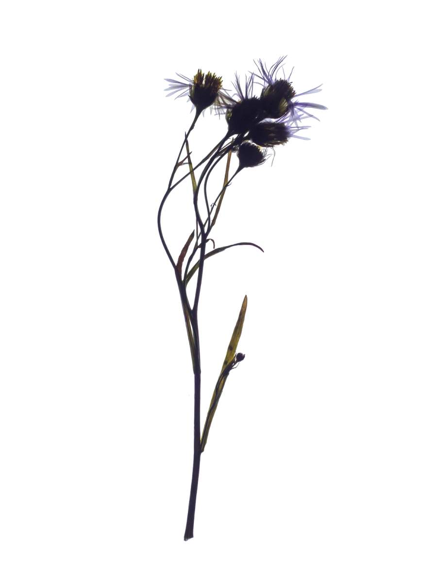 Pärnu, Estonia, 09/2024