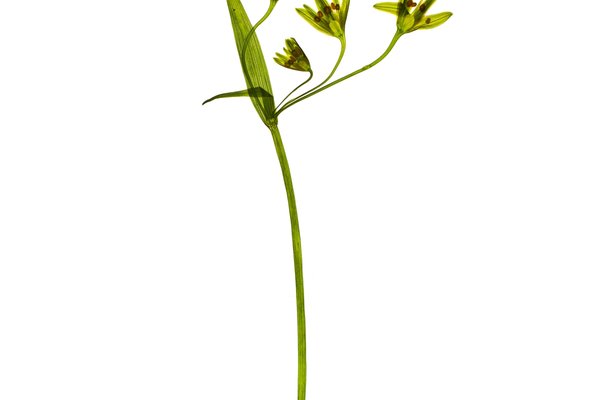 Tegernsee, Germany, 03/2024