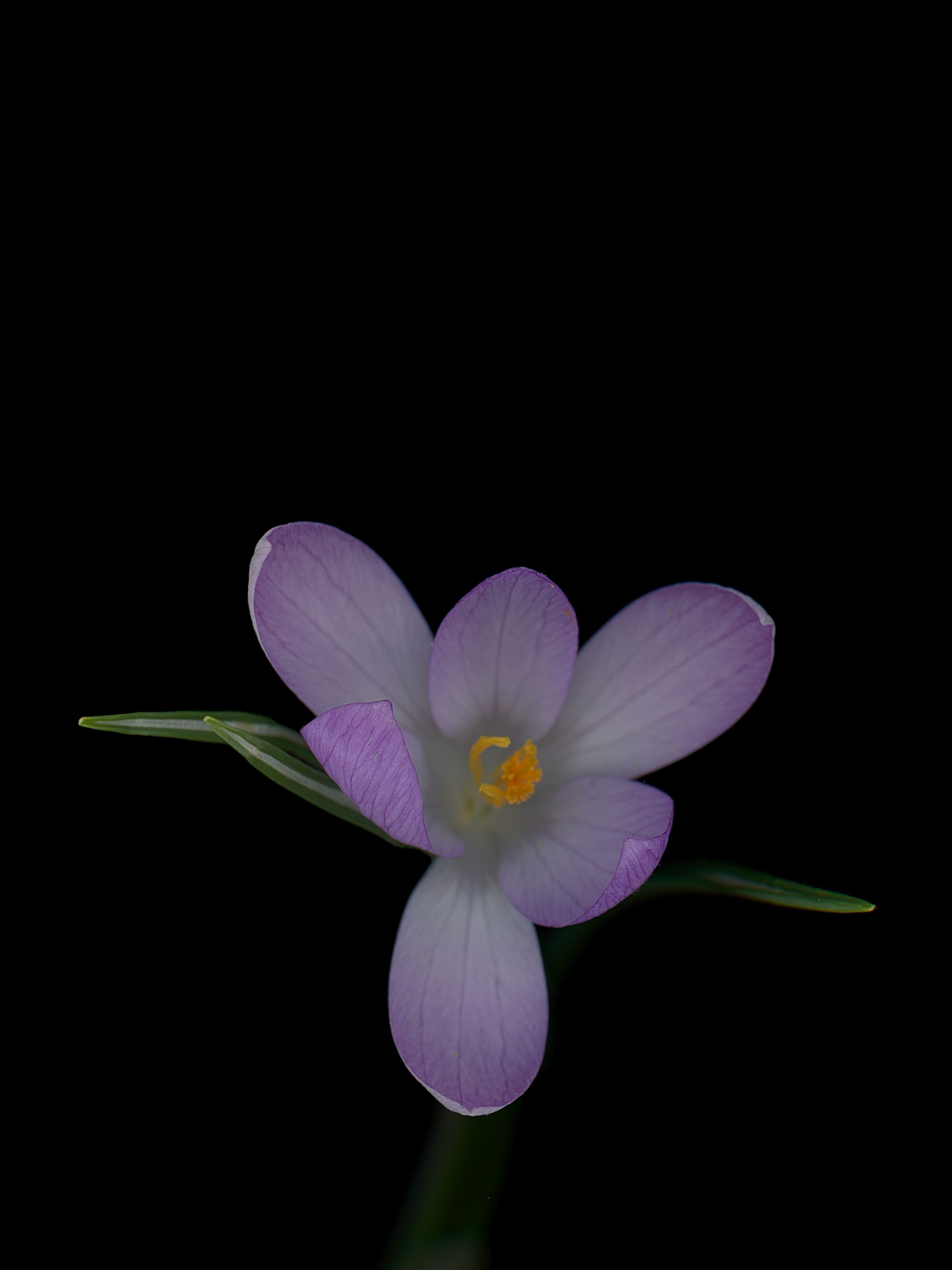 München, Germany, 03/2026