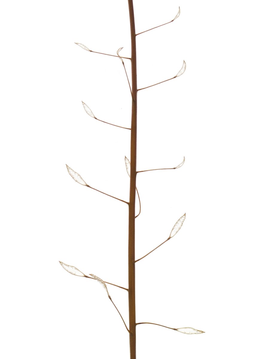 Offenbach, Germany, 05/2019