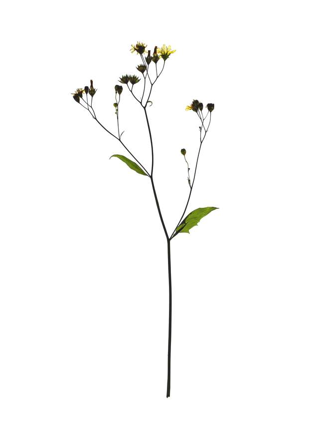 Stuttgart, Germany, 06/2021