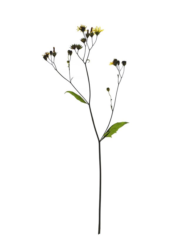 Stuttgart, Germany, 06/2021