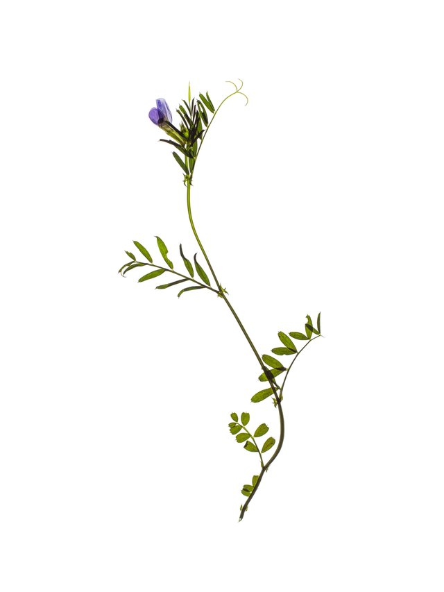 Thalkirchen, Germany, 05/2024