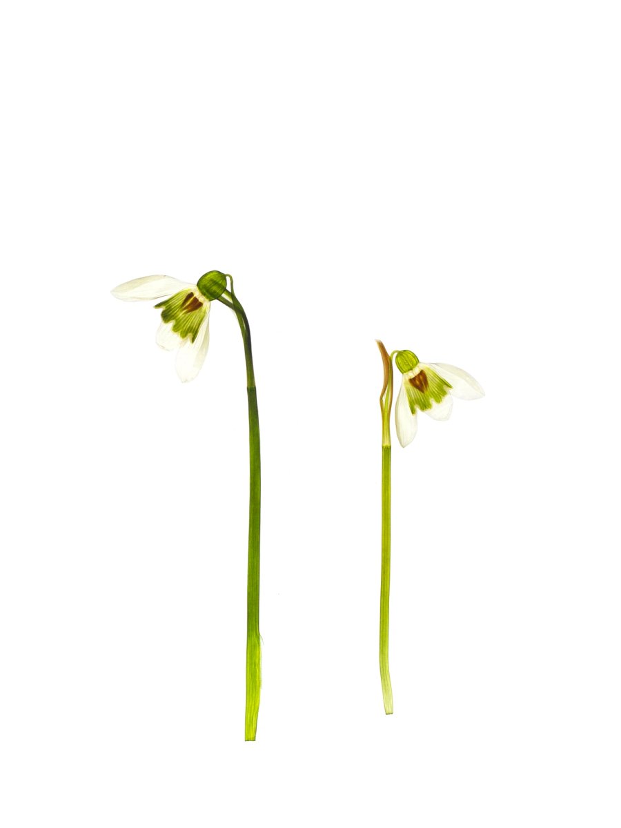 Pliezhausen, Germany, 03/2020