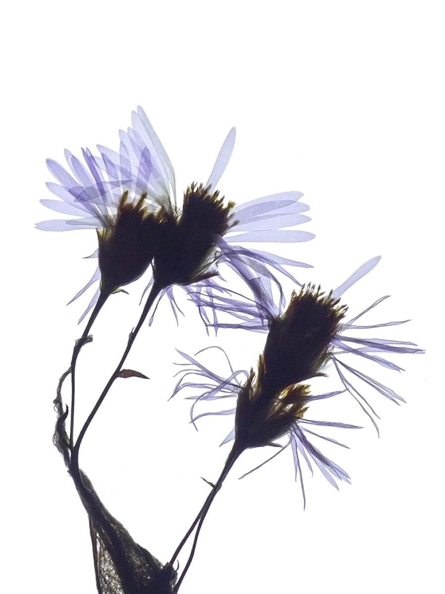 Detail, Pärnu, Estonia, 09/2024