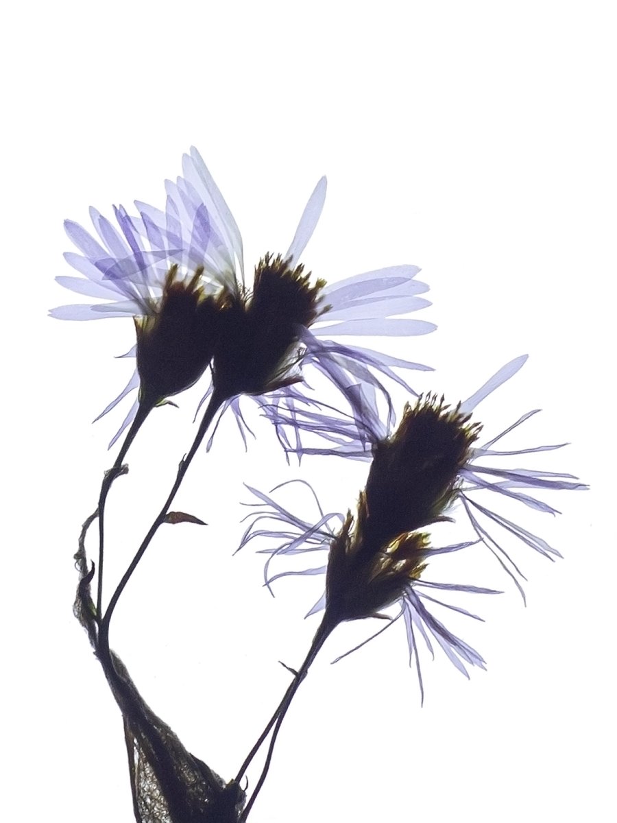 Detail, Pärnu, Estonia, 09/2024