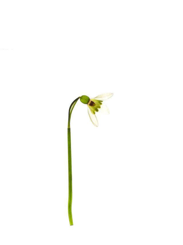 Rübgarten, Germany, 03/2020