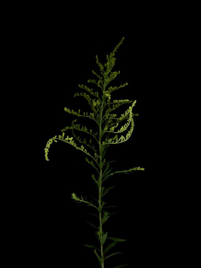 Thalkirchen, Germany, 08/2025