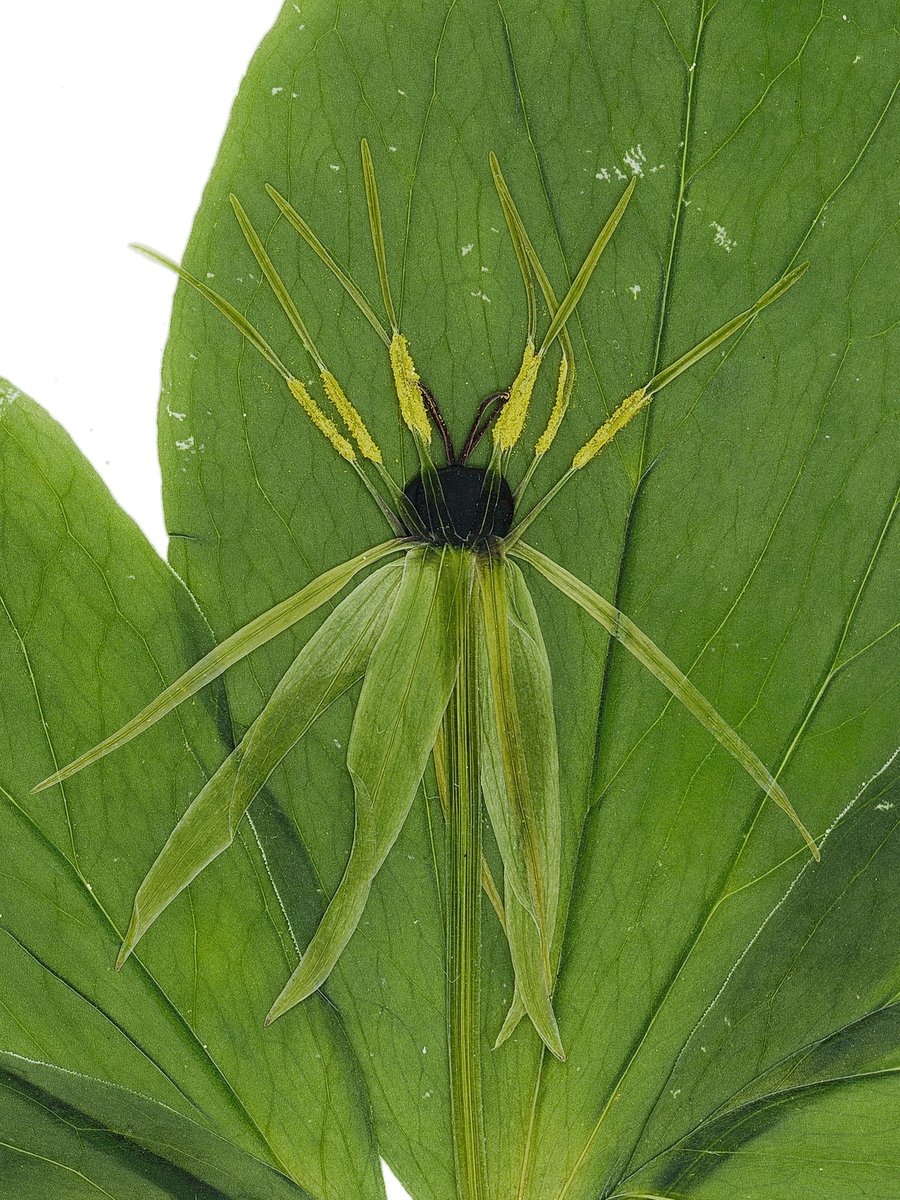 Reutlingen, Germany, 05/2025