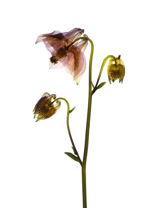 Stammheim, Germany, 05/2022