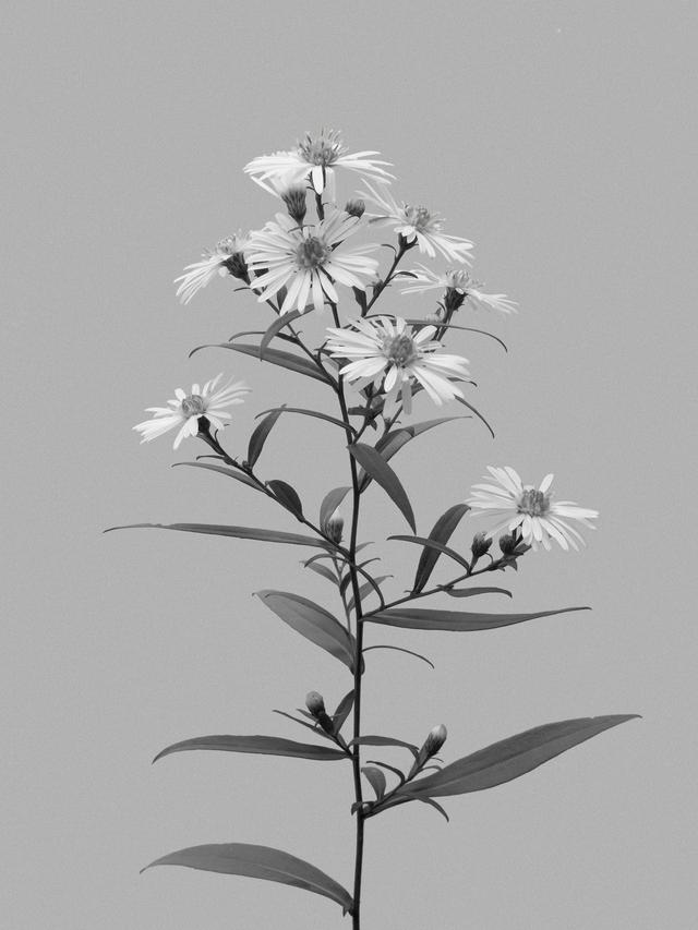 Thalkirchen, Germany, 09/2025