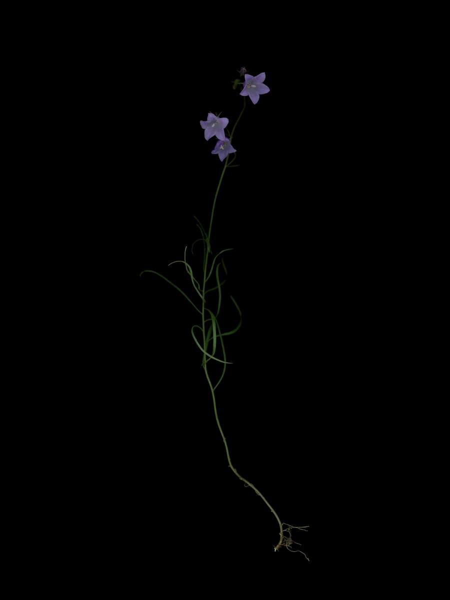 Munich, Germany, 09/2025