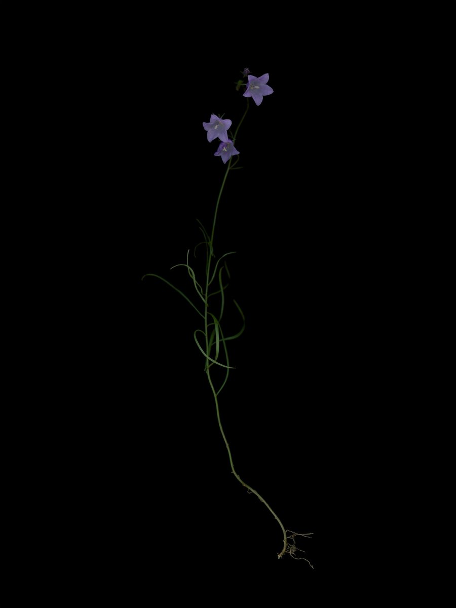 Munich, Germany, 09/2025