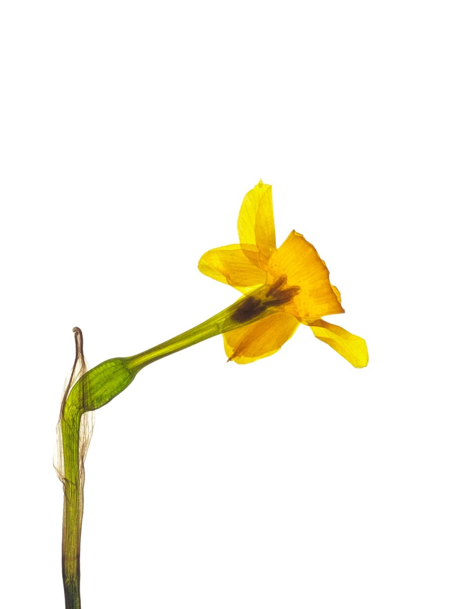 Alozaina, Spain, 05/2022