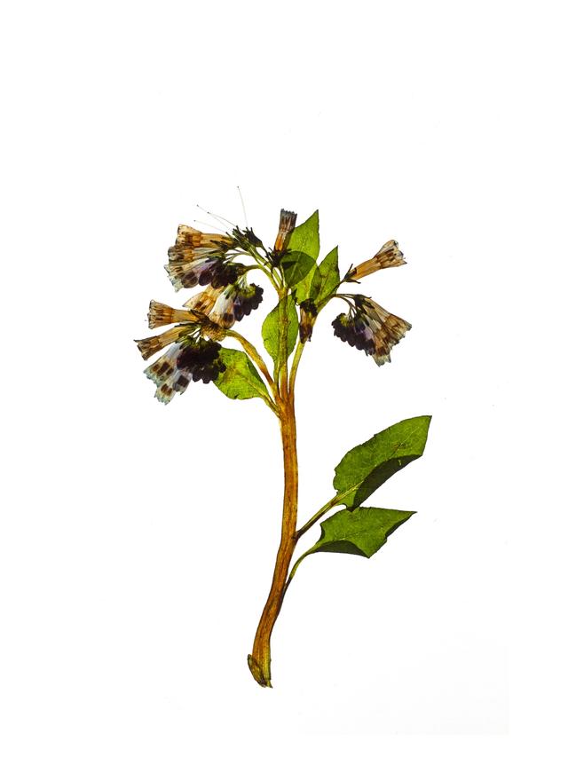 Schwäbisch Hall, Germany, 04/2021