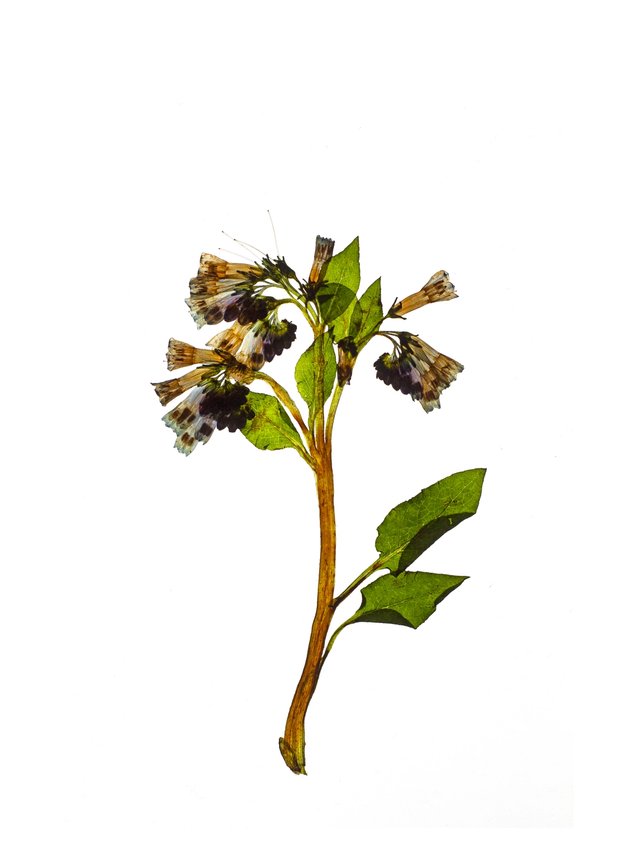 Schwäbisch Hall, Germany, 04/2021