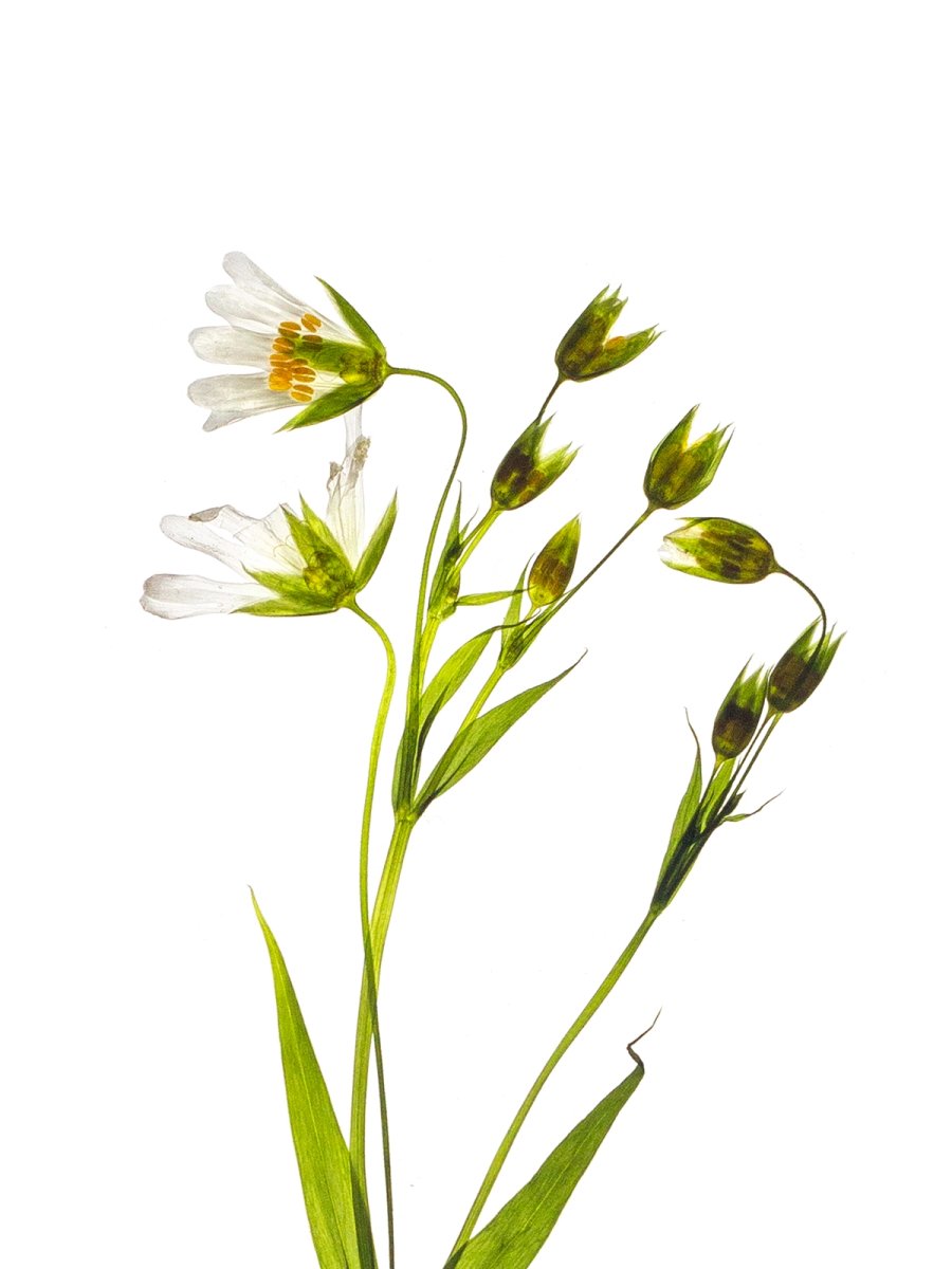 Detail, Stuttgart, Germany, 04/2022