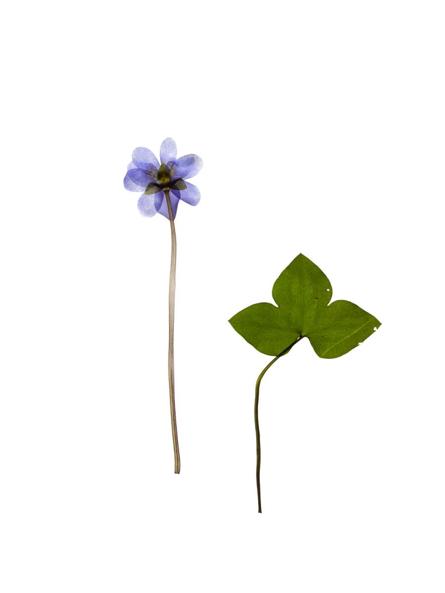 Schäftlarn, Germany, 03/2024