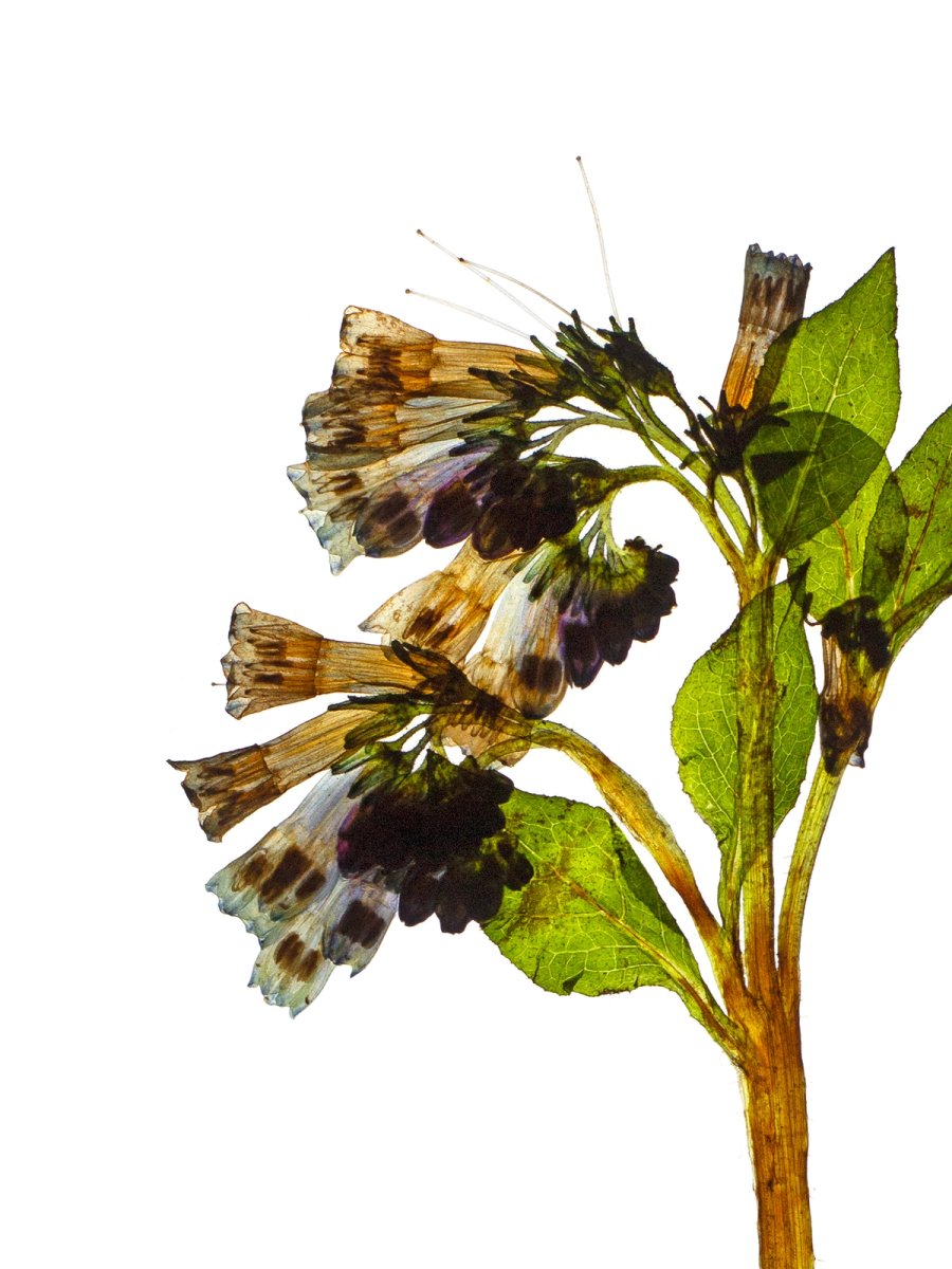 Schwäbisch Hall, Germany, 04/2021