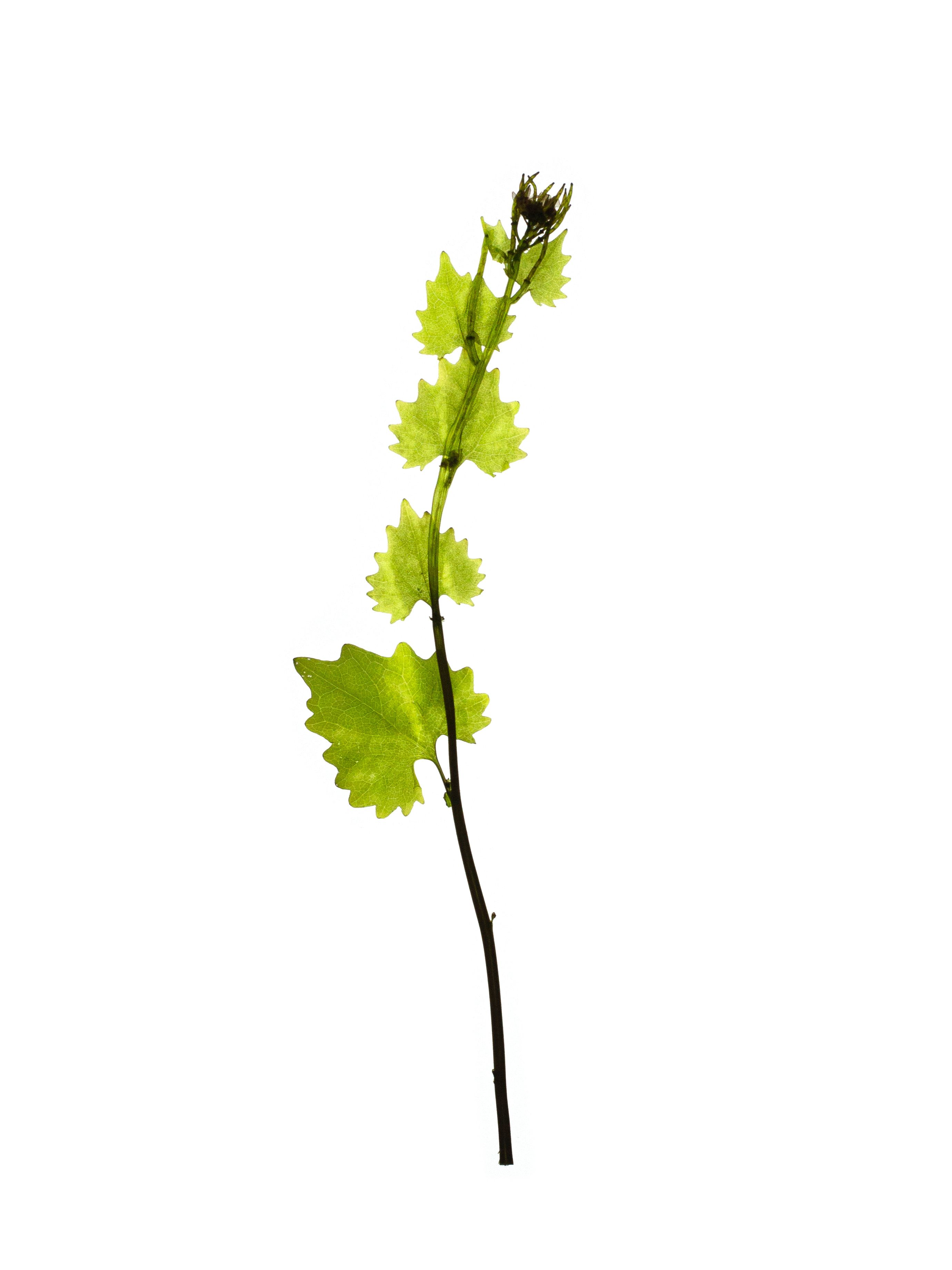 Offenbach, Germany, 05/2019