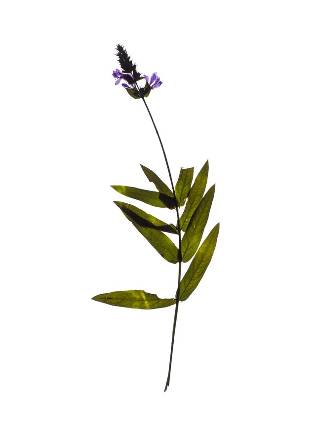 Thalkirchen, Germany, 03/2023