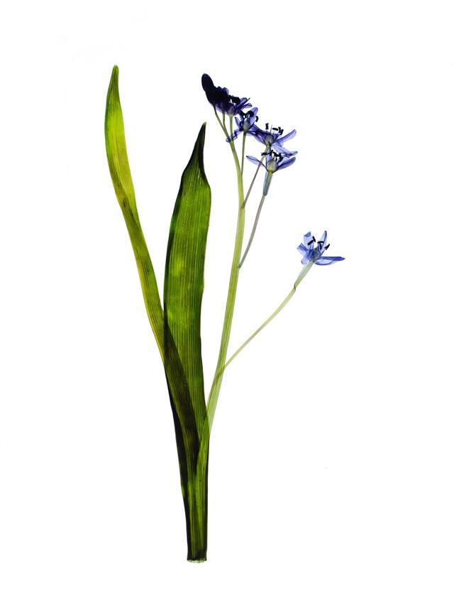 Ulm, Germany, 04/2024