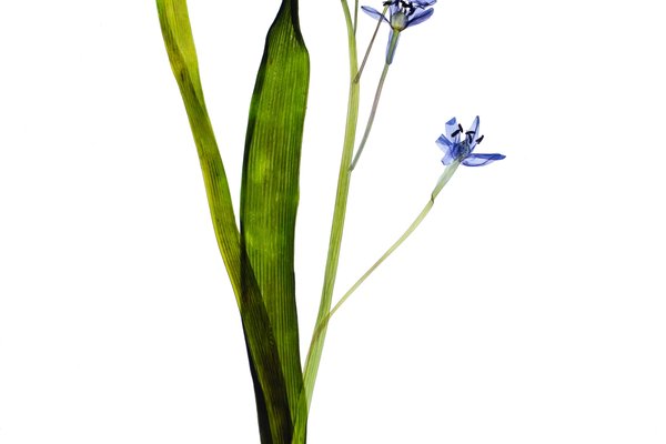 Ulm, Germany, 04/2024