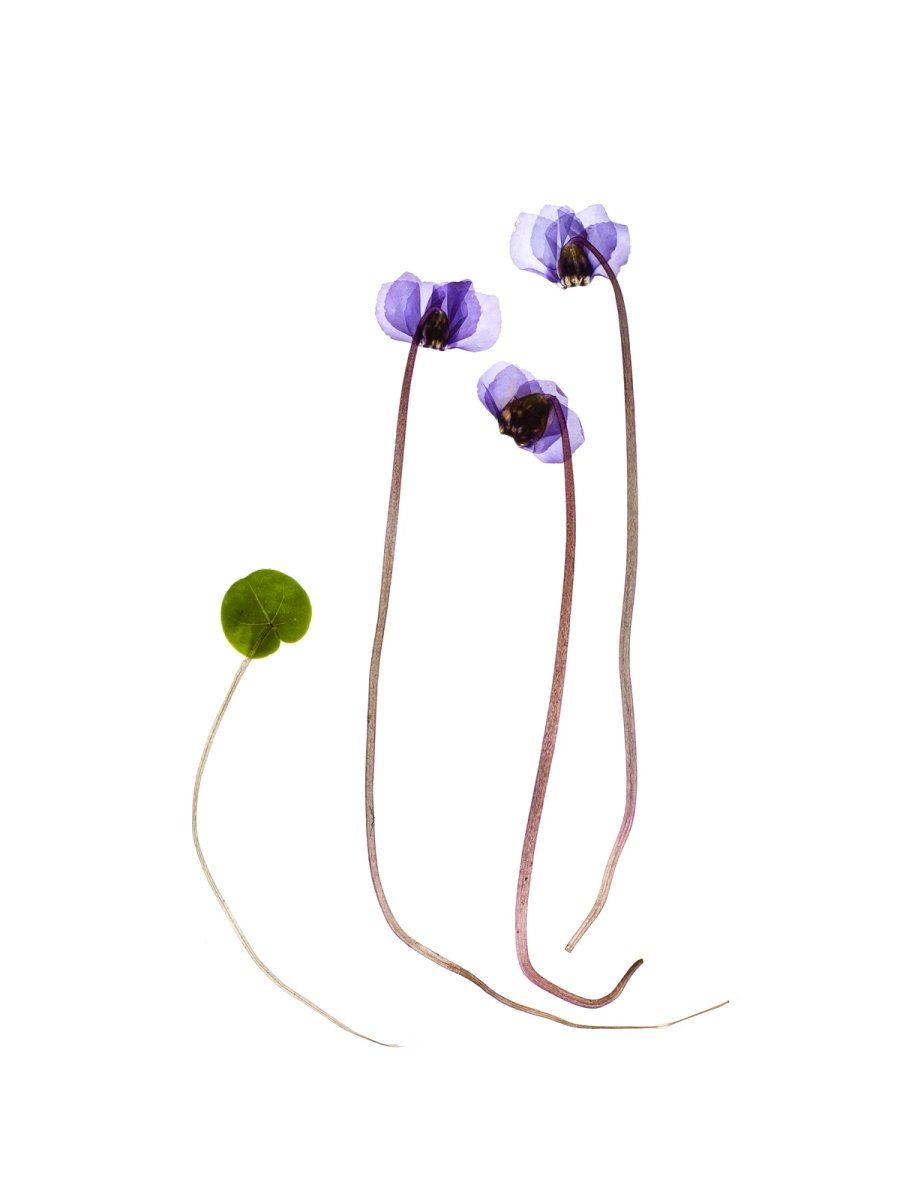 Murnau, Germany, 03/2024