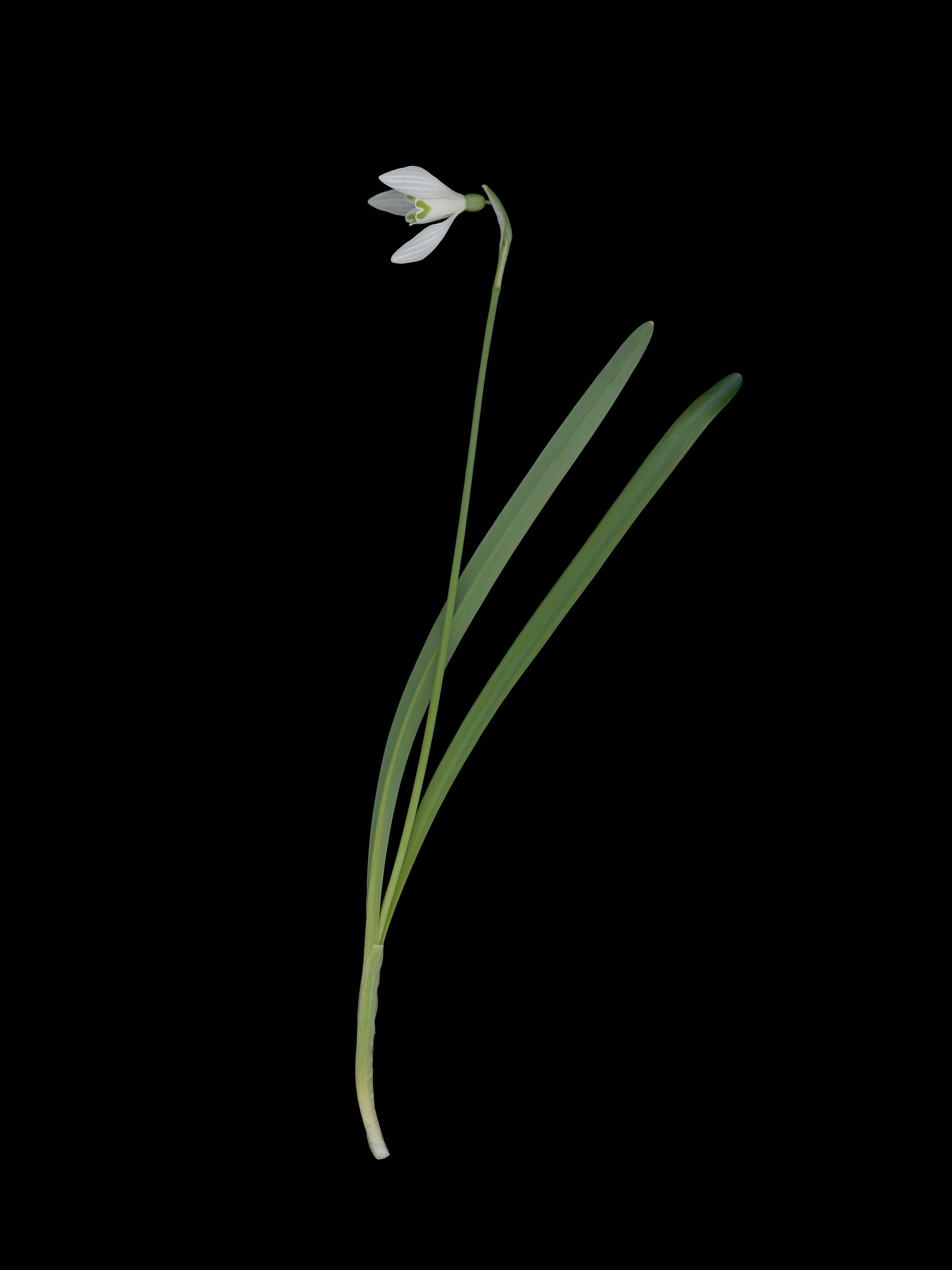 München, Germany, 03/2026