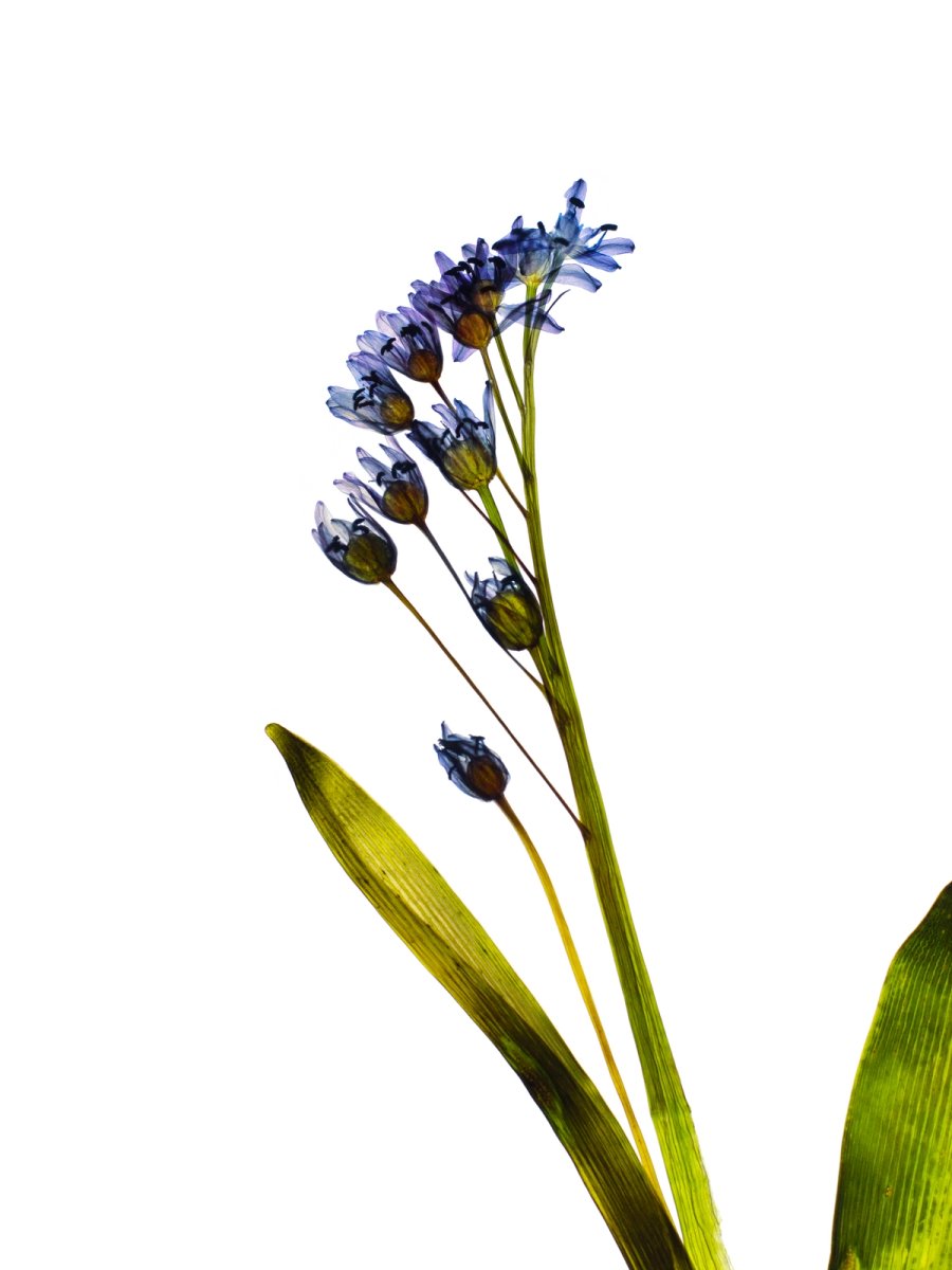 Ulm, Germany, 04/2024