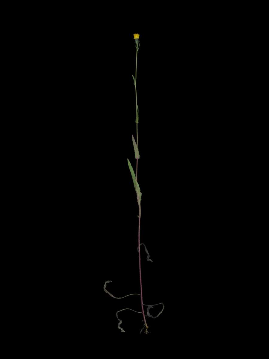 Thalkirchen, Germany, 10/2025