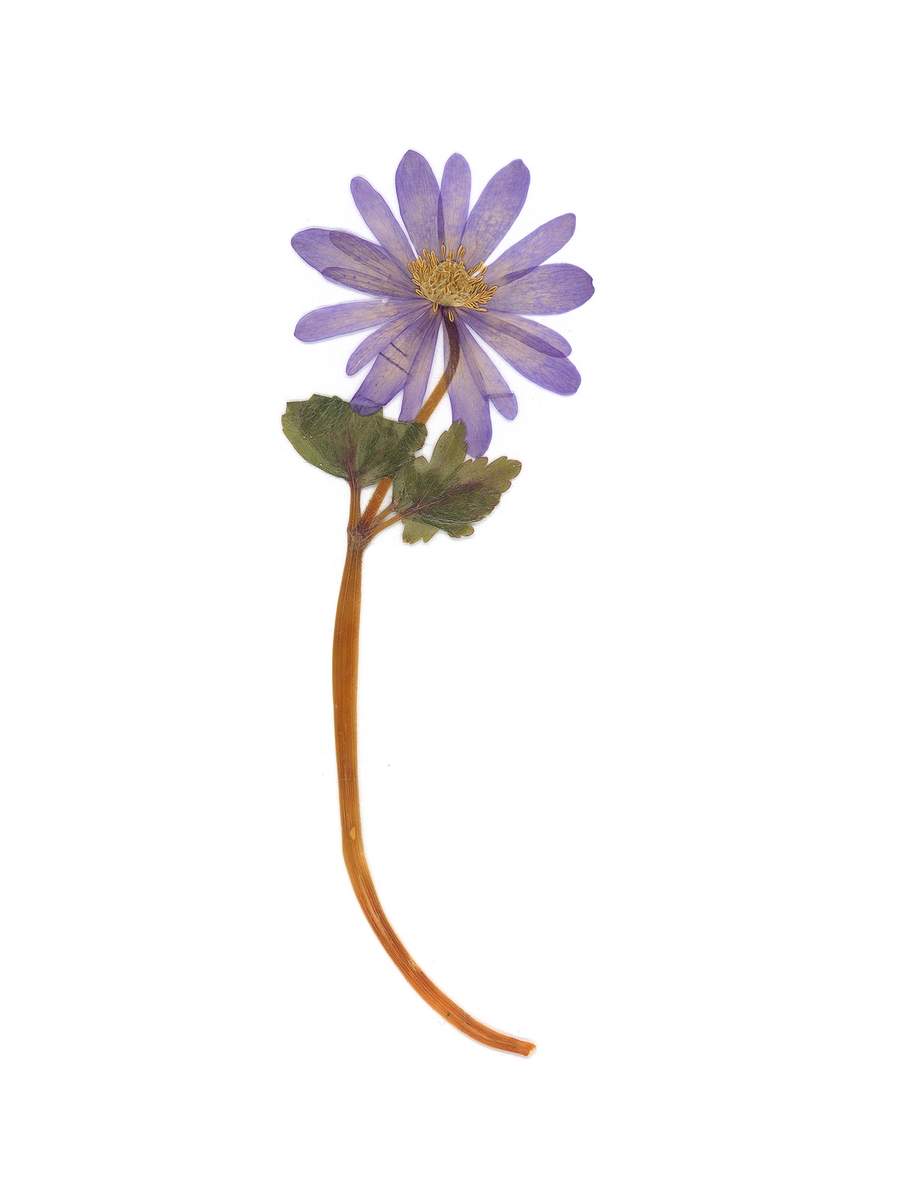 Stuttgart, Germany, 04/2021