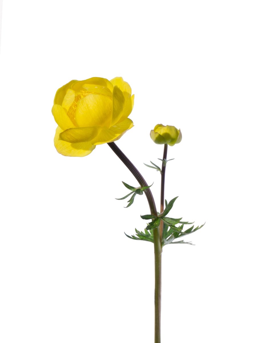 Murnau, Germany, 04/2026