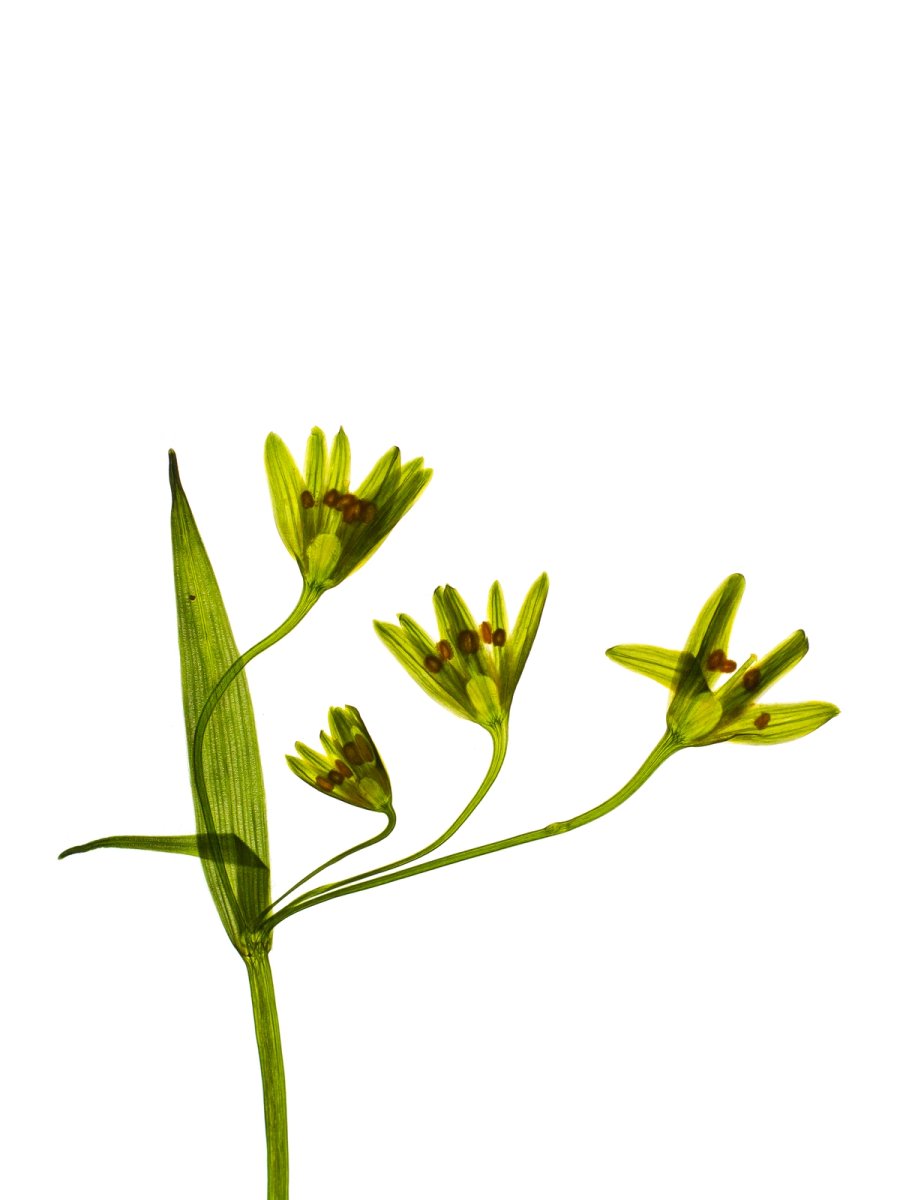 Detail, Tegernsee, Germany, 03/2024