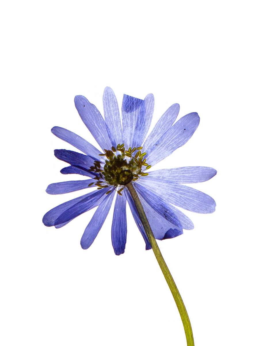 Stuttgart, Germany, 04/2021