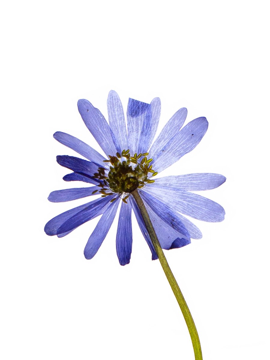 Stuttgart, Germany, 04/2021