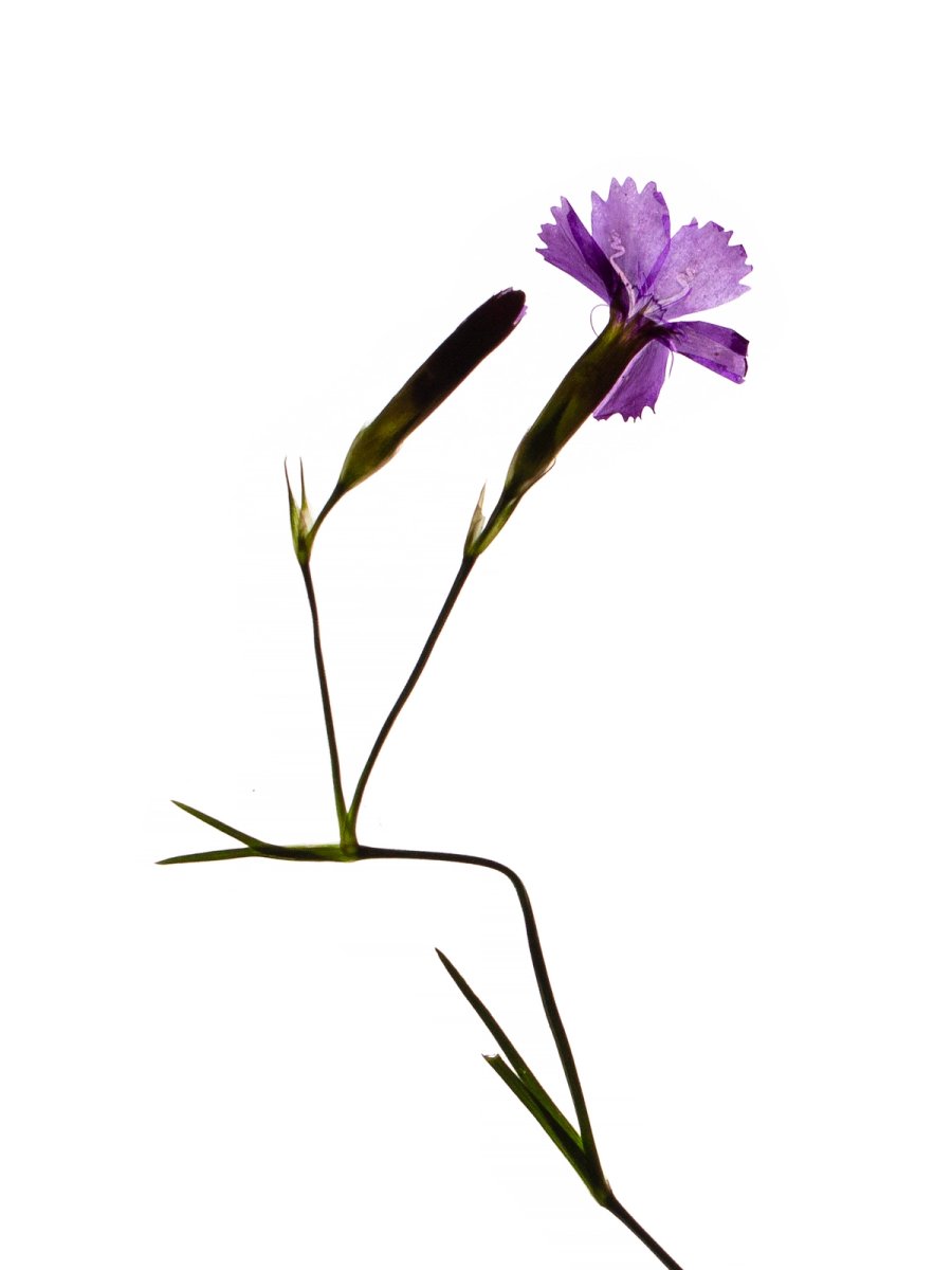 Detail, Offenbach, Germany, 09/2019