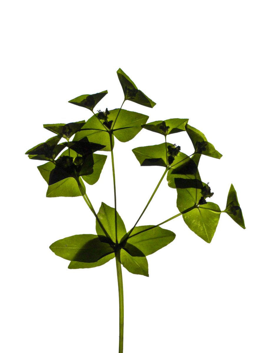 Detail, Zürich, Switzerland, 05/2021