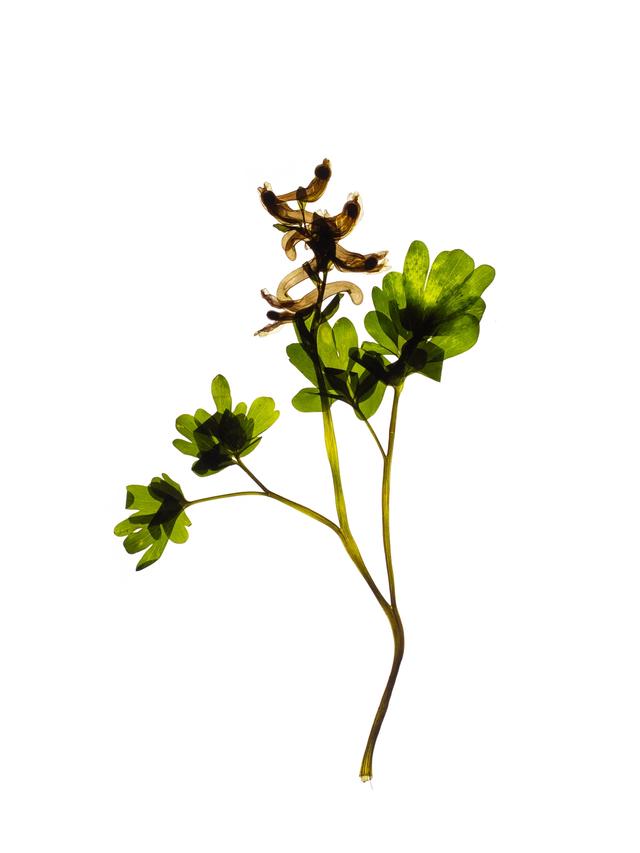 Günzburg, Germany, 04/2024