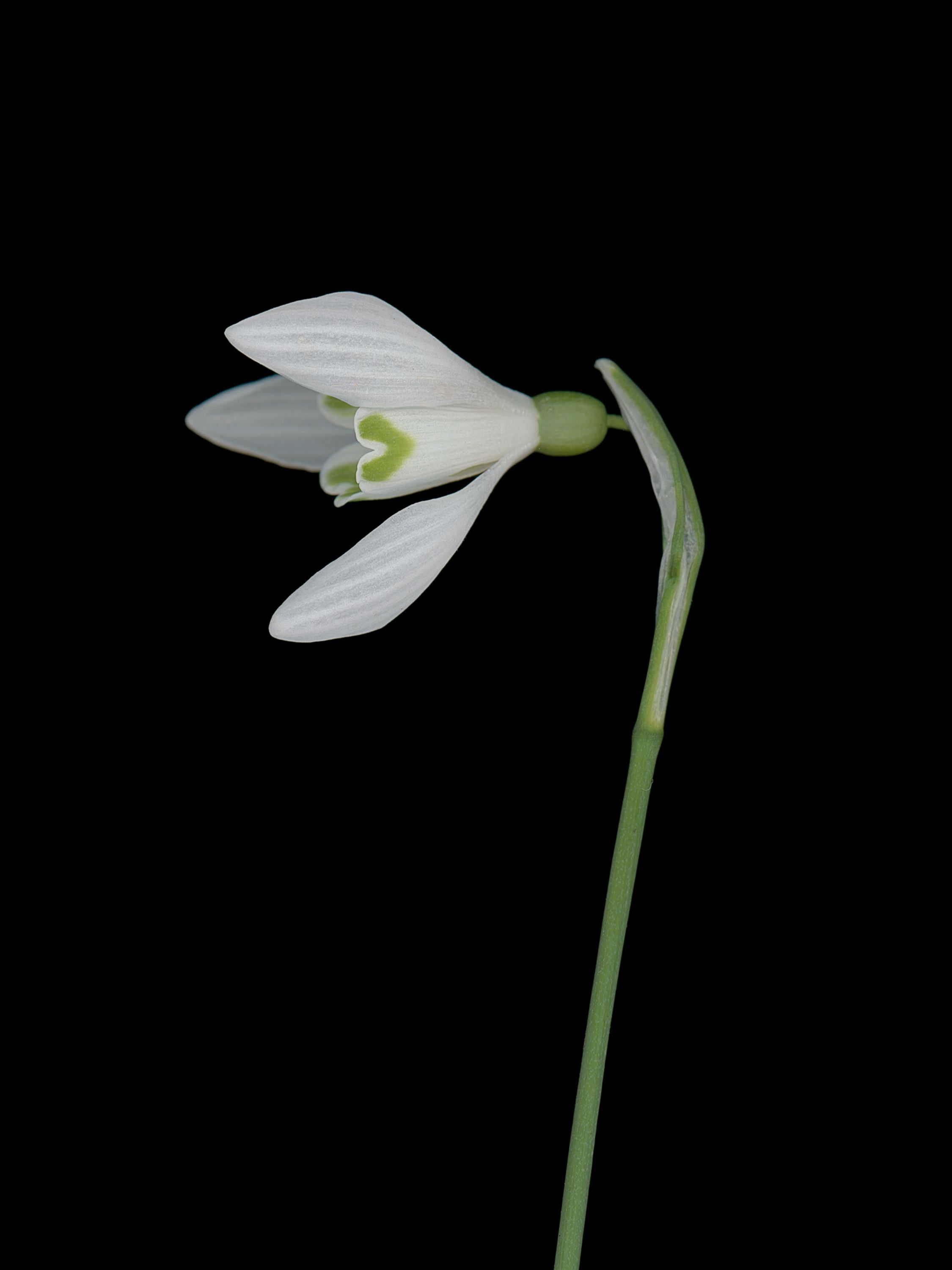 München, Germany, 03/2026