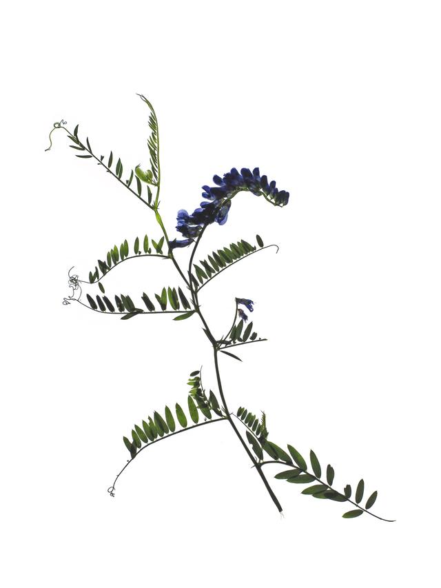 Stuttgart Germany, 06/2021